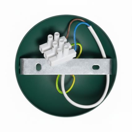 Brilagi - LED Anbauleuchte FLAMENGO 1xE27/60W/230V grün