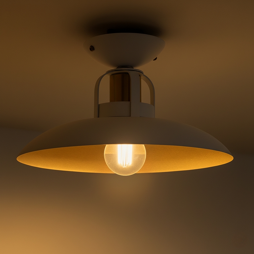 Brilagi - LED Anbauleuchte FLAMENGO 1xE27/60W/230V weiß