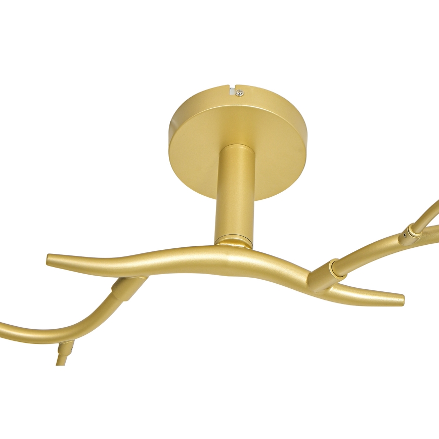 Brilagi - LED-Anbauleuchte MISTEL 6xG9/3W/230V golden
