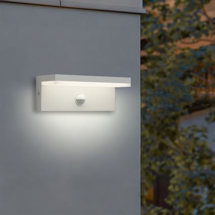 Brilagi - Lampada da parete per esterni LED con sensore TESSI LED/10W/230V bianca IP54