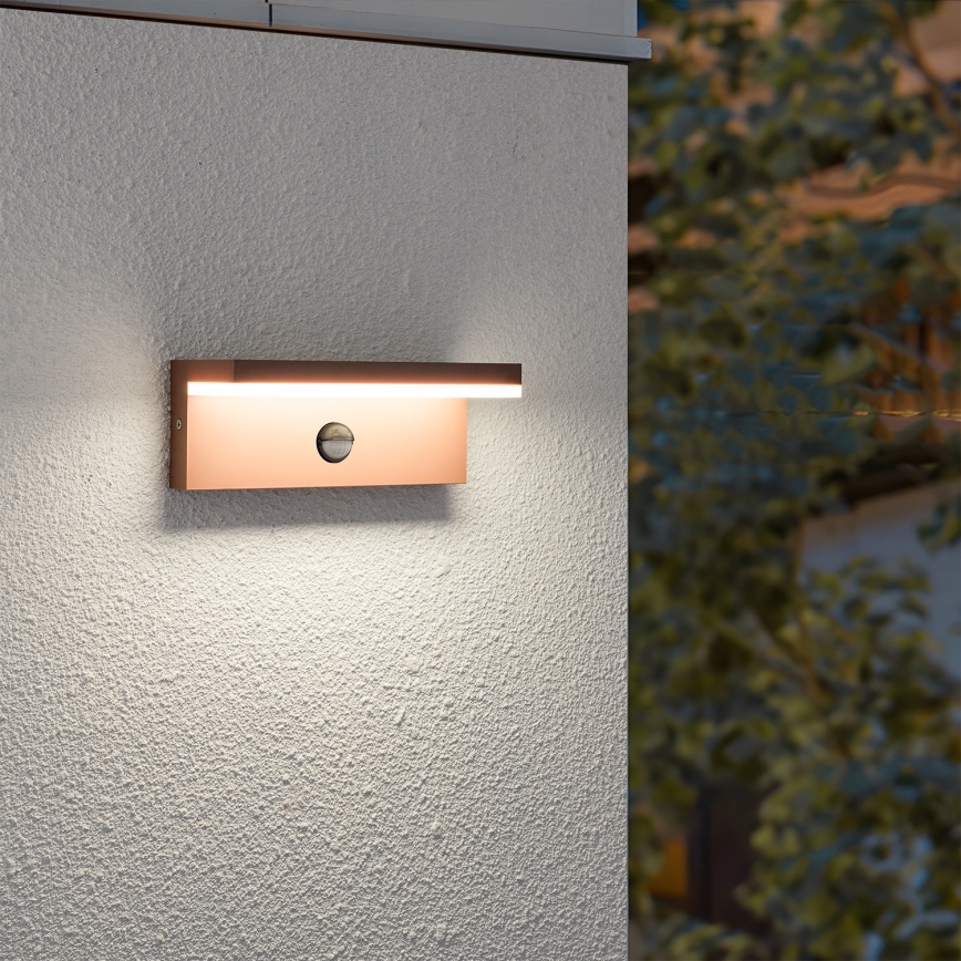 Brilagi - Applique murale d'extérieur LED avec détecteur TESSI LED/10W/230V marron IP54