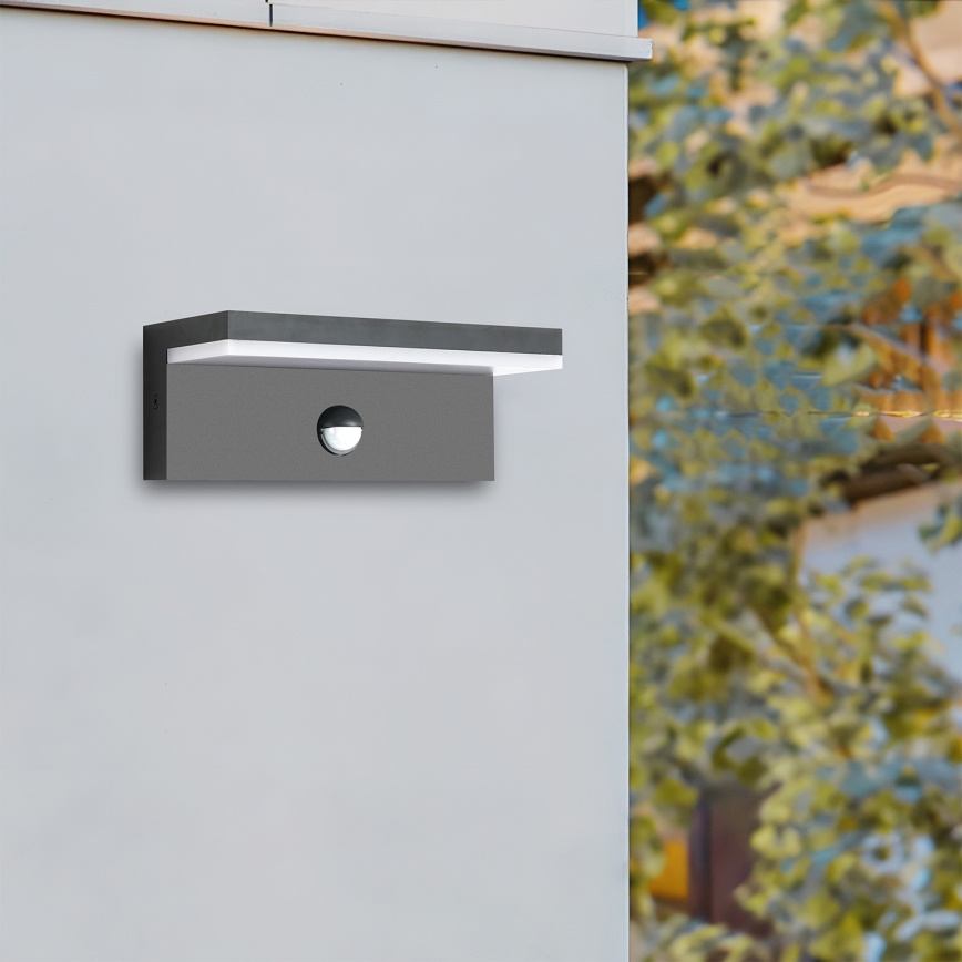 Brilagi - Applique murale extérieure avec détecteur TESSI LED/10W/230V anthracite IP54