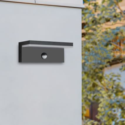 Brilagi - Applique murale d'extérieur LED avec détecteur TESSI LED/10W/230V noire IP54