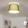 Brilagi - LED-Aufbauleuchte CERIA 1xE27/40W/230V Ø 30 cm grün