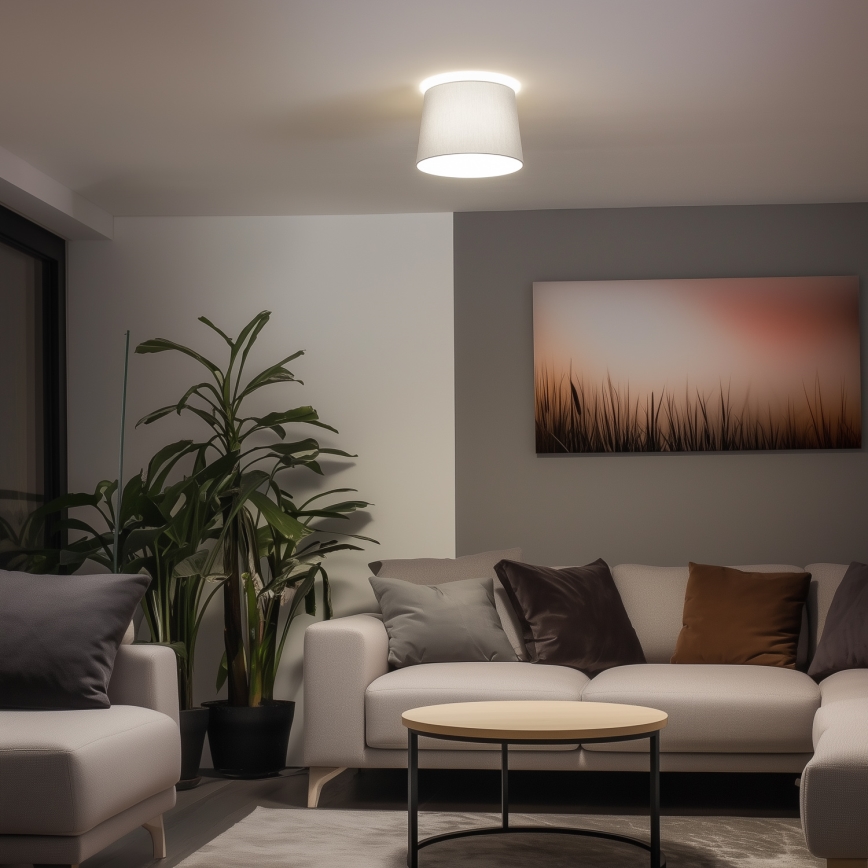 Brilagi - LED Aufgesetzte Deckenleuchte CERIA 1xE27/40W/230V Ø 30 cm grau