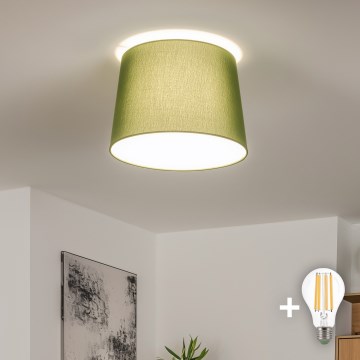 Brilagi - LED-Aufputz-Deckenleuchte CERIA 1xE27/40W/230V Ø 30 cm grün