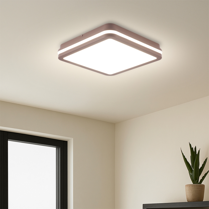 Brilagi - LED Außen-Deckenleuchte BENE LED/24W/230V 26x26 cm braun IP54
