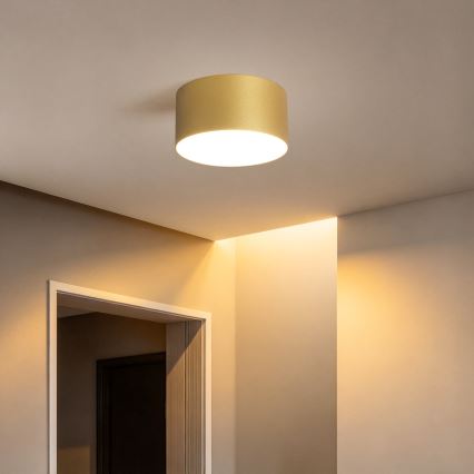BRILAGI - LED Außen-Deckenleuchte FORIS LED/14W/230V Ø 12 cm goldfarben IP44