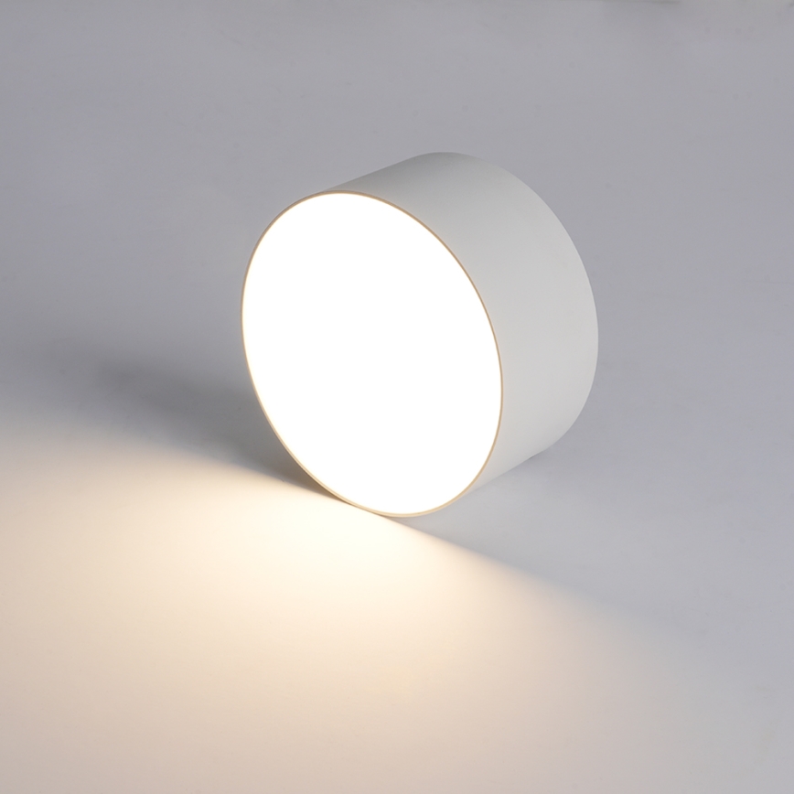 BRILAGI - LED Außen-Deckenleuchte FORIS LED/14W/230V Ø 12 cm weiß IP44