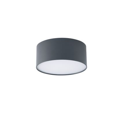 BRILAGI - LED-Außen-Deckenleuchte FORIS LED/20W/230V Ø 15 cm anthrazit IP44