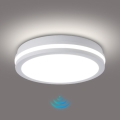 Brilagi - LED-Außen-Deckenleuchte mit Sensor BENE LED/24W/230V Ø 26 cm weiß IP54