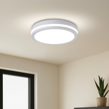 Brilagi - LED-Außen-Deckenleuchte mit Sensor BENE LED/24W/230V Ø 26 cm weiß IP54