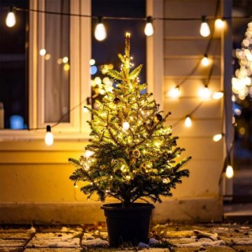 Brilagi - LED-Außen-Weihnachtsgirlande 10xLED/3xAA 3,2m IP44 warmweiß