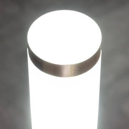 BRILAGI - LED-Außenwandleuchte ELIA 1xE27/7W/230V 4000K IP44 mattchrom