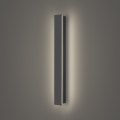 Brilagi - LED-Außenwandleuchte LINEAR LED/12W/230V 4000K IP65 50 cm anthrazit