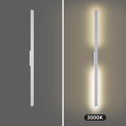 Brilagi - LED-Außenwandleuchte LUNA LED/30W/230V 3000K IP65 150 cm weiß CRI 90