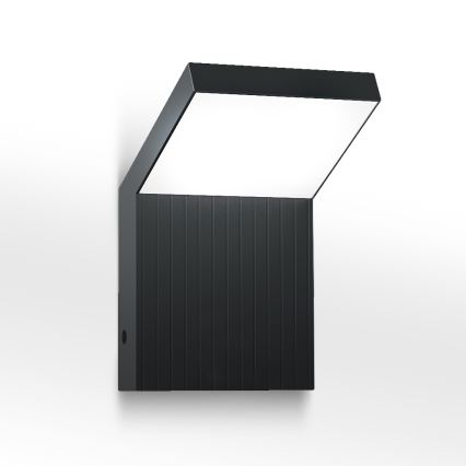 Brilagi - LED-Außenwandleuchte RIANO LED/8W/230V anthrazit IP65