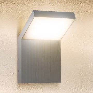 Brilagi - LED Außenwandleuchte RIANO LED/8W/230V silber IP65