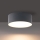 Brilagi - LED-Badezimmer-Deckenleuchte FORIS LED/14W/230V Ø 12 cm Anthrazit IP44