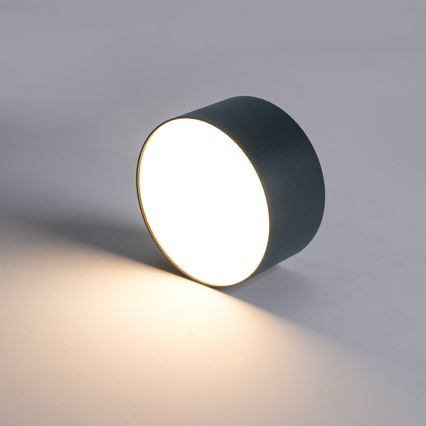 Brilagi - LED-Badezimmer-Deckenleuchte FORIS LED/14W/230V Ø 12 cm Anthrazit IP44