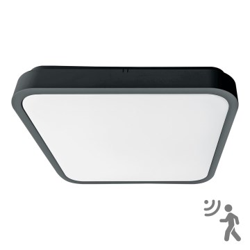 Brilagi - LED Badezimmer-Deckenleuchte mit Sensor ZENNA LED/18W/230V 28,5x28,5 cm IP44 Anthrazit + Fernbedienung