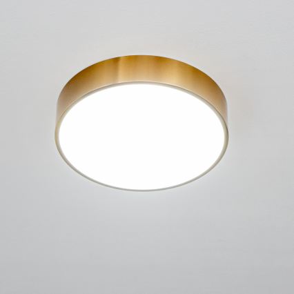 Brilagi - LED-Deckenleuchte für Badezimmer POOL LED/24W/230V 3000/4000/5500K Ø 30 cm IP54 Bronze