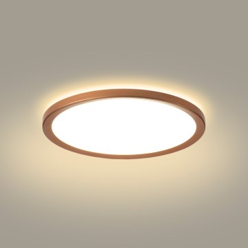 Brilagi - LED-Badezimmer-Deckenleuchte ULTRA SLIM LED/12W/230V Ø22,5 cm Roségold IP54