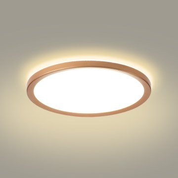 Brilagi - LED Badezimmer-Deckenleuchte ULTRA SLIM LED/24W/230V Ø 42 cm Roségold IP54