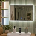 BRILAGI - LED Badezimmerspiegel LUCE LED/20W/230V 40x60 cm IP44 CRI 90 dimmbar + CCT