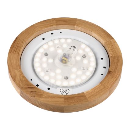 Brilagi - LED-Deckenleuchte BELLADONNA LED/20W/230V Ø 30 cm weiß/Eiche
