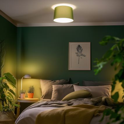 Brilagi - LED-Deckenleuchte CERIA, 1x E27/40W/230V, Ø 45 cm, grün