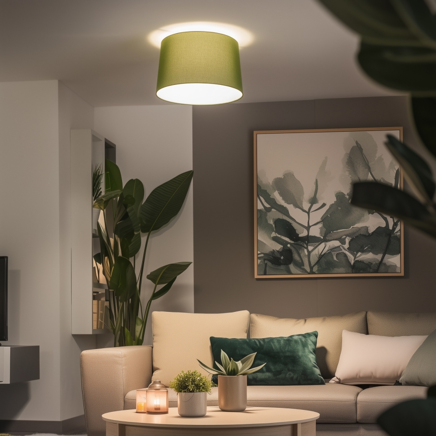 Brilagi - LED-Deckenleuchte CERIA, 1x E27/40W/230V, Ø 45 cm, grün