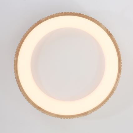 Brilagi - LED-Deckenleuchte FALCON WOOD MODERN LED/40W/230V 3000/4000/6000K Ø 60 cm Holz