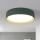 Brilagi - LED-Deckenleuchte LUCIA LED/24W/230V Ø 31 cm grün