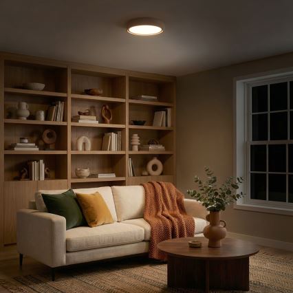 Brilagi - LED-Deckenleuchte MATTEO LED/24W/230V Ø 31 cm taupe