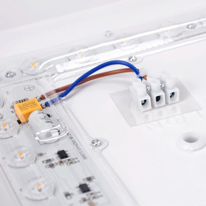 Brilagi - LED-Deckenleuchte PILANA LED/24W/230V Eiche/Weiß 32x32 cm