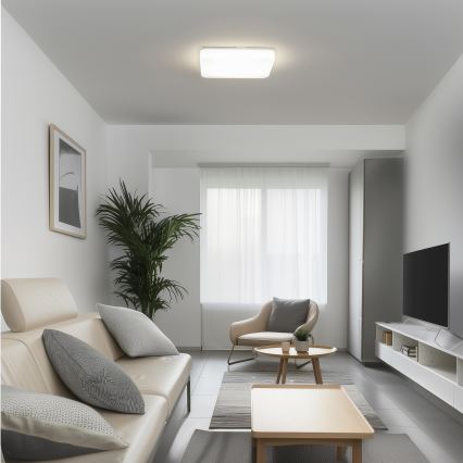 Brilagi - LED-Deckenleuchte PLAIN LED/24W/230V 3000K