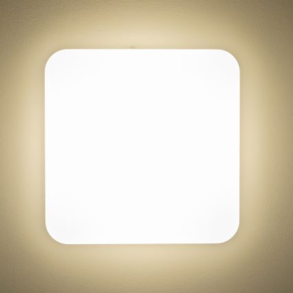 Brilagi - LED-Deckenleuchte PLAIN LED/24W/230V 3000K