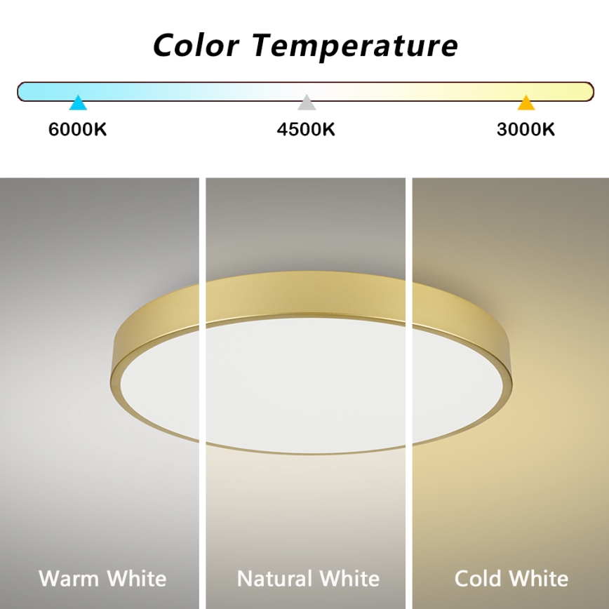 Brilagi - LED-Deckenleuchte POOL LED/100W/230V 3000/4000/6000K Ø 80 cm goldfarben