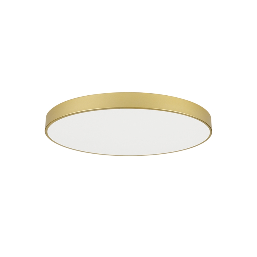 Brilagi - LED-Deckenleuchte POOL LED/100W/230V 3000/4000/6000K Ø 80 cm goldfarben