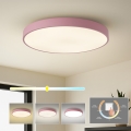 Brilagi - LED-Deckenleuchte POOL LED/100W/230V 3000/4000/6000K Ø 80 cm rosa