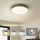 Brilagi - LED-Deckenleuchte POOL LED/36W/230V 3000/4000/6000K Ø 30 cm grün