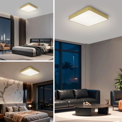 Brilagi - LED-Deckenleuchte POOL LED/48W/230V 3000/4000/6000K 50x50 cm goldfarben