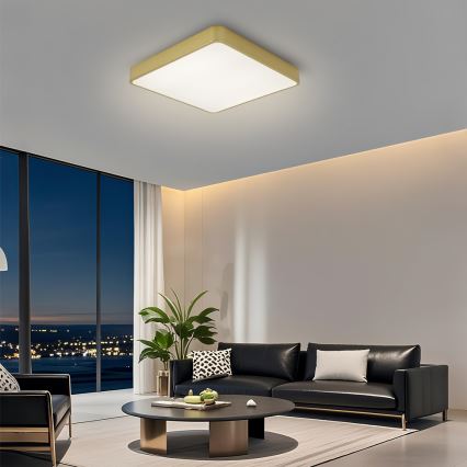 Brilagi - LED-Deckenleuchte POOL LED/48W/230V 3000/4000/6000K 50x50 cm goldfarben