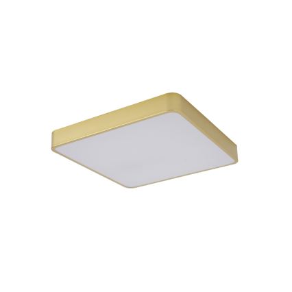 Brilagi - LED-Deckenleuchte POOL LED/48W/230V 3000/4000/6000K 50x50 cm goldfarben