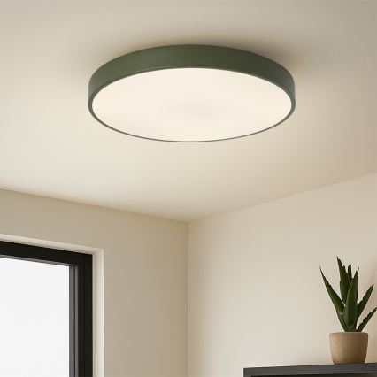 Brilagi - LED-Deckenleuchte POOL LED/60W/230V 3000/4000/6000K Ø 50 cm grün