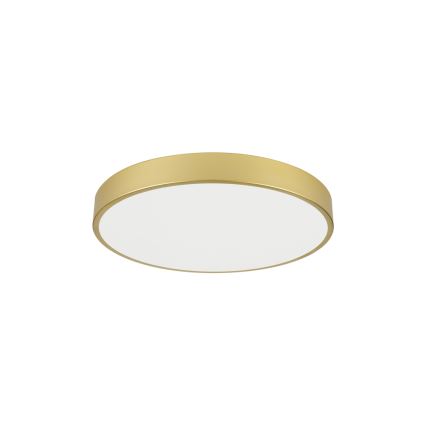 Brilagi - LED-Deckenleuchte POOL LED/60W/230V 3000/4000/6000K Ø 60 cm gold