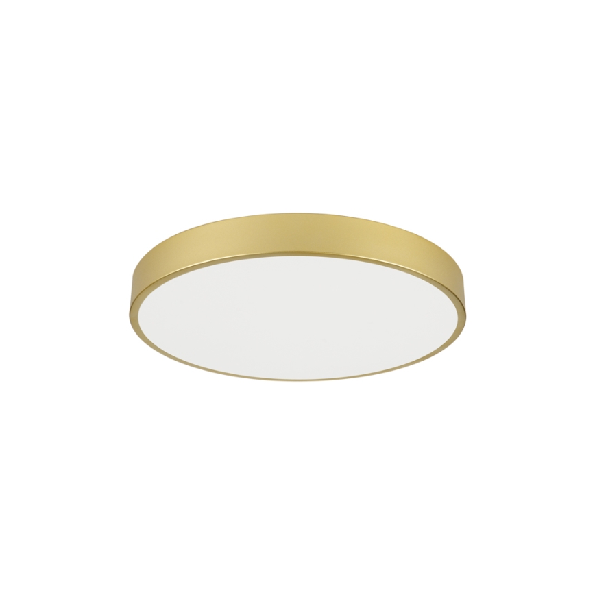 Brilagi - LED-Deckenleuchte POOL LED/60W/230V 3000/4000/6000K Ø 60 cm gold