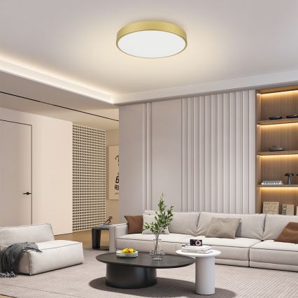 Brilagi - LED-Deckenleuchte POOL LED/60W/230V 3000/4500/6000K Ø 60 cm gold