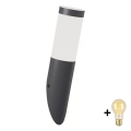 Brilagi - LED-dimmbare Außen-Wandleuchte ELIA 1xE27/6W/230V 2700-6500K IP44 Wi-Fi Anthrazit